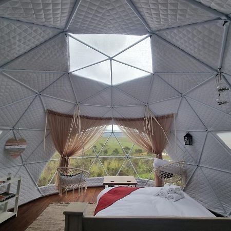 Hotel Pom Gratz - Ecodomes Hartebeesrivier Exterior foto