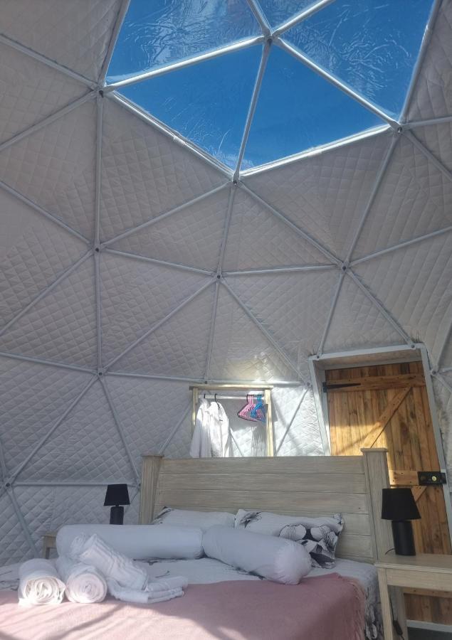 Hotel Pom Gratz - Ecodomes Hartebeesrivier Exterior foto