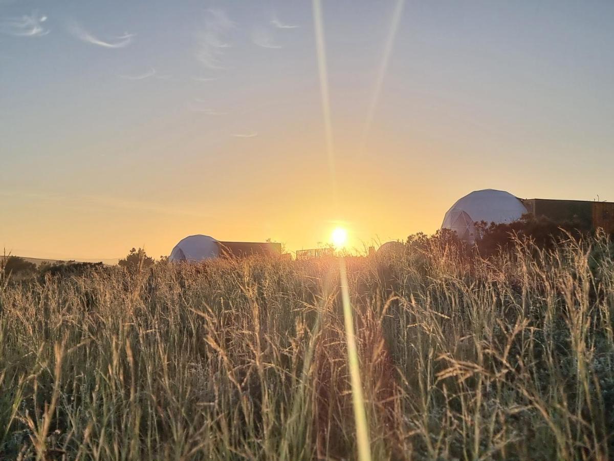 Hotel Pom Gratz - Ecodomes Hartebeesrivier Exterior foto