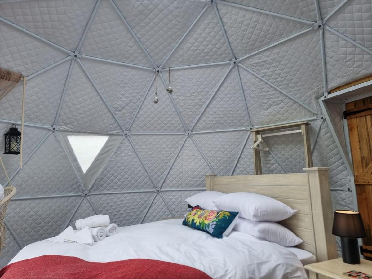 Hotel Pom Gratz - Ecodomes Hartebeesrivier Exterior foto